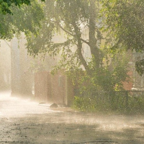 Stream Sun Showers by Jeffrey Kim Listen online for free on SoundCloud