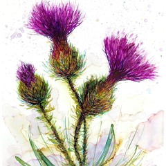 Seed, Berry, Nut, Flower or Cone