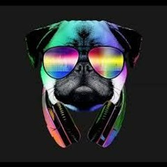 Progressive & Techno