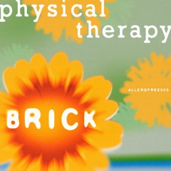 Physical Therapy - Brick (Driving Mix)