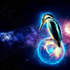 BORMUSIC - BIRDS PARADISE [Original Mix 2023]