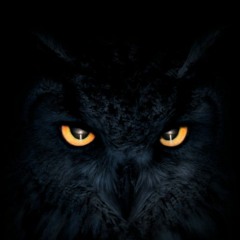 True Evil - Chiaro - 142 (PREVIEW!)