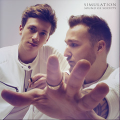 Simulation