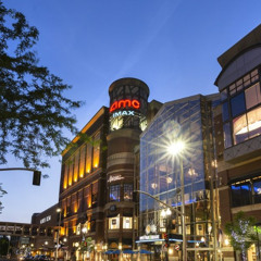 Trolly Wolly Freestyle