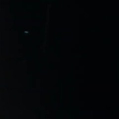 swollen grains / walk through the space between the atoms of the wooden wall