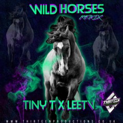 Wild Horses - Tiny T & LeeTV (UK HARDCORE REMIX)