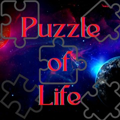 Puzzle Of Life
