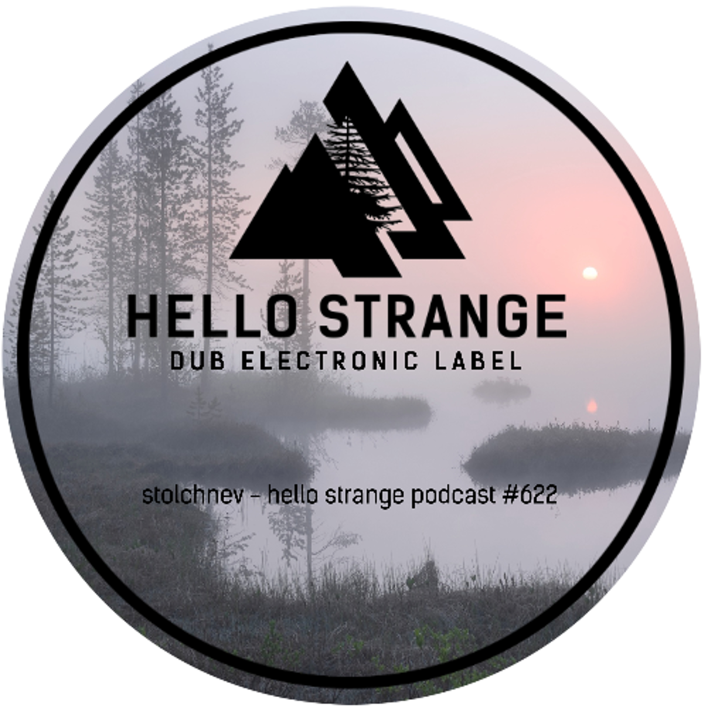 stolchnev - hello strange podcast #622 episode artwork