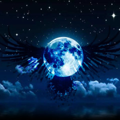 fly (ft. notime4sin.)