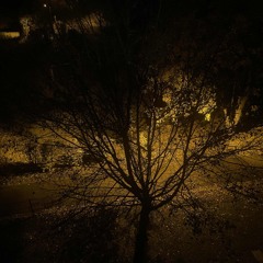 xzvcutes - не вспоминай