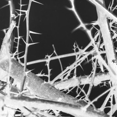 El hábito de la nostalgia