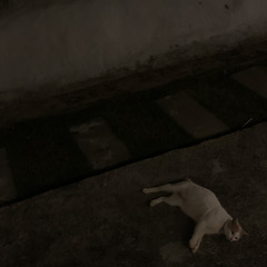 I Just Wanna Know - PUN (cover)