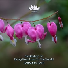Bring Pure Love To The World