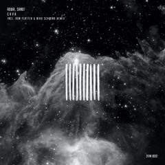 ROWA, SANOI - Cava (Niko Schwind Remix)