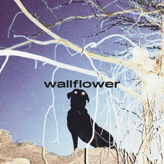 howler - wallflower