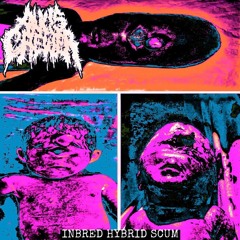 Anus Chewer - INBRED HYBRID SCUM