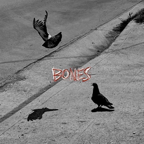 bones