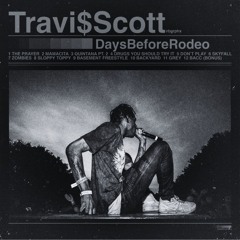 TRAVIS SCOTT DAYS BEFORE RODEO TYPE BEAT