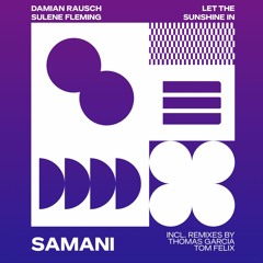 PREMIERE: Damian Rausch Feat. Sulene Fleming - Let The Sunshine In (90s Mix)