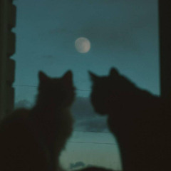 pentru tine cant (prod. purc)