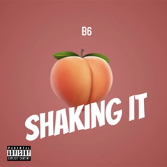 B6 -shaking it