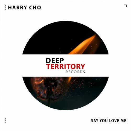 Harry Cho - Say You Love Me