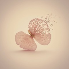 Luga - Sheltered Thoughts