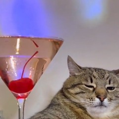 Cry And Cry Bounce 2 1