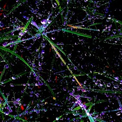 LOCK ft. Nina Princesa