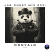 下载视频: LSR Guest Mix 033: Donyald