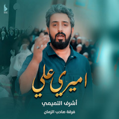 أميري علي