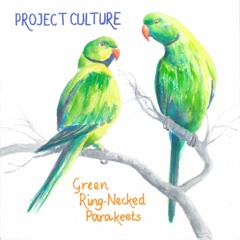 Green Ring-Necked Parakeets