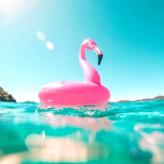 scottie's snacks vol. 2