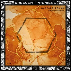 PREMIERE: Gaspard Polar - Under The Cave [MLF012]