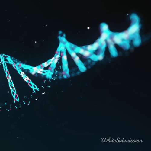 BNWO - Science (TEASER)