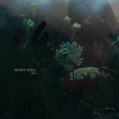 Heavy Chill (Vol. 1)