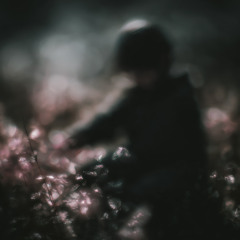 いつかおわるはじまりに_acoustic