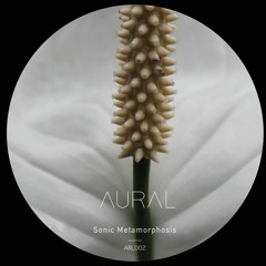 MNMT Premiere: Aural – Blue Rain (Aechmea)