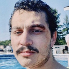 La tortue et la moune