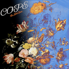 COPE [+ sogimura]