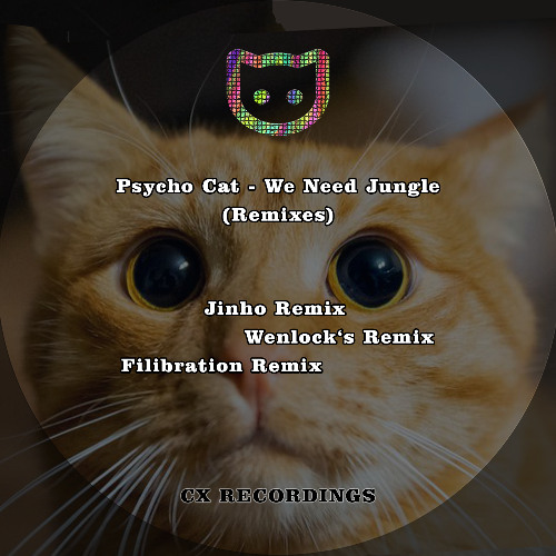 Psycho Cat - We Need Jungle (Jinho Remix)