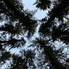 Enter Fall Mixtape | October 2025