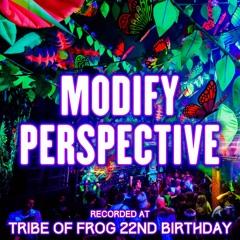 Modify Perspective - Recorded at TRiBE of FRoG 22nd Birthday