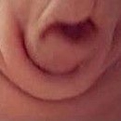 Stangl Stender Arrr