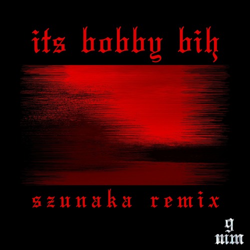 "ITS BOBBY BIH" | SZUNAKA REMIX
