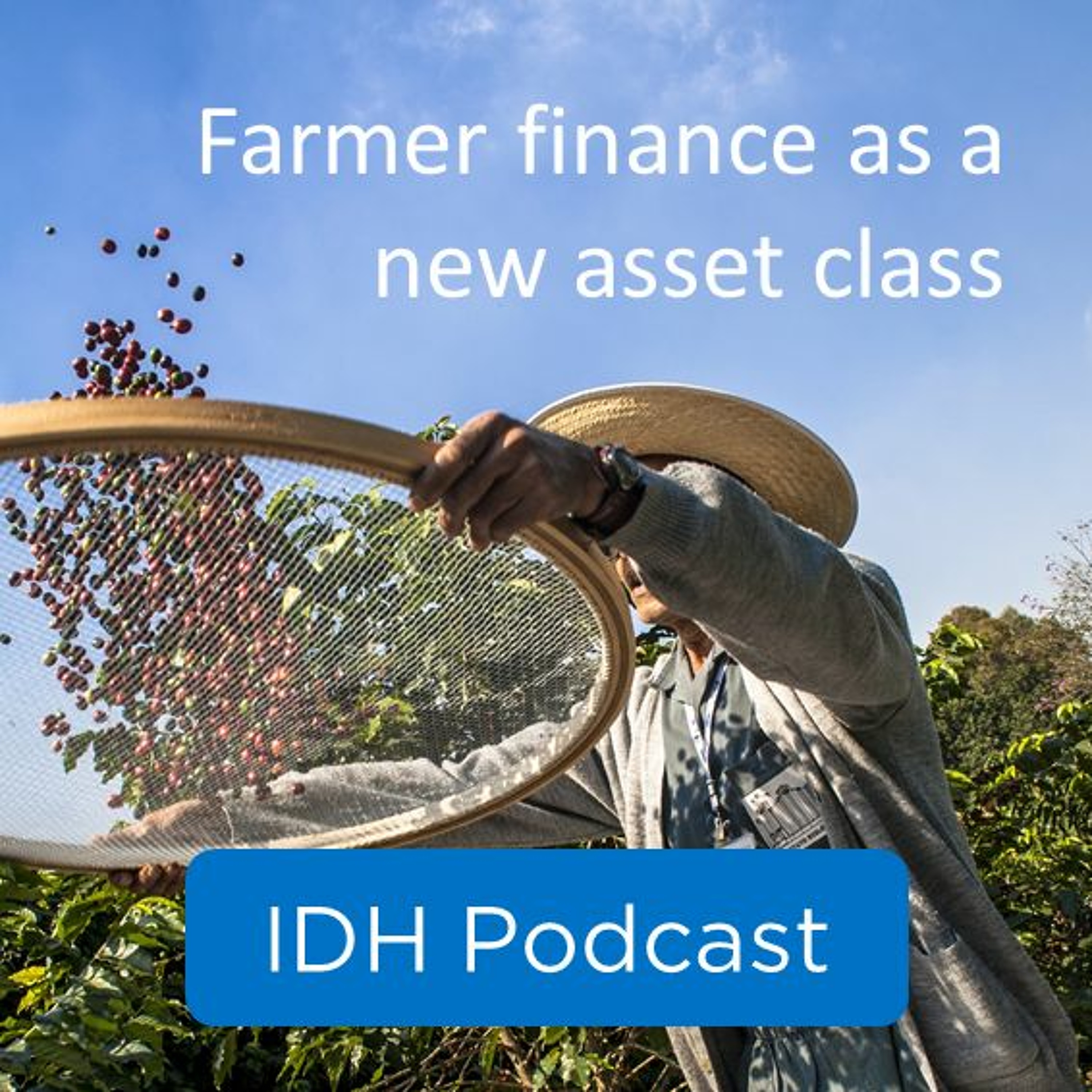 IDH Podcasts