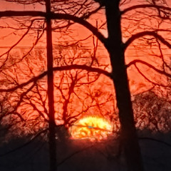 cellar doors (prod. i forgot tbh 💀)