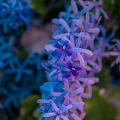 Kori - Then She Spoke (MakudaMusic Remix)