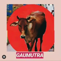 Gaumutra