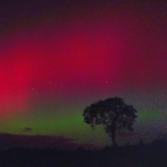 Tracks in progress for 2025